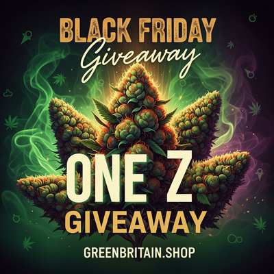 Black Friday One Z Giveaway